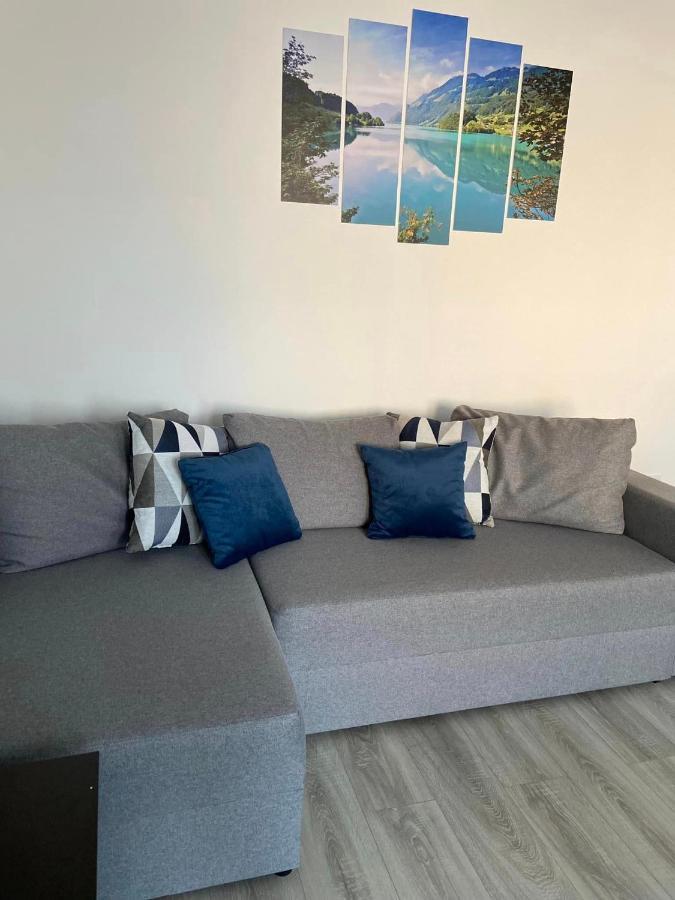 Apartament Brifla Comfort Mures Târgu-Mureş Zewnętrze zdjęcie